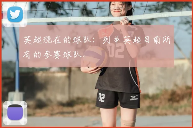 英超现在的球队:列举英超目前所有的参赛球队。
