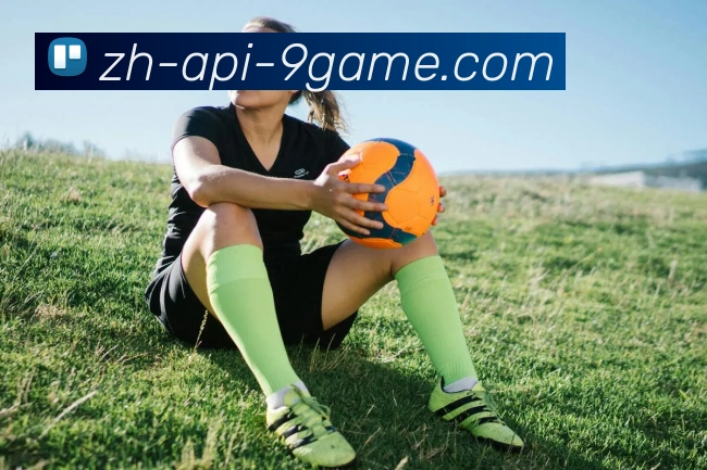 J9九游APP 封面图